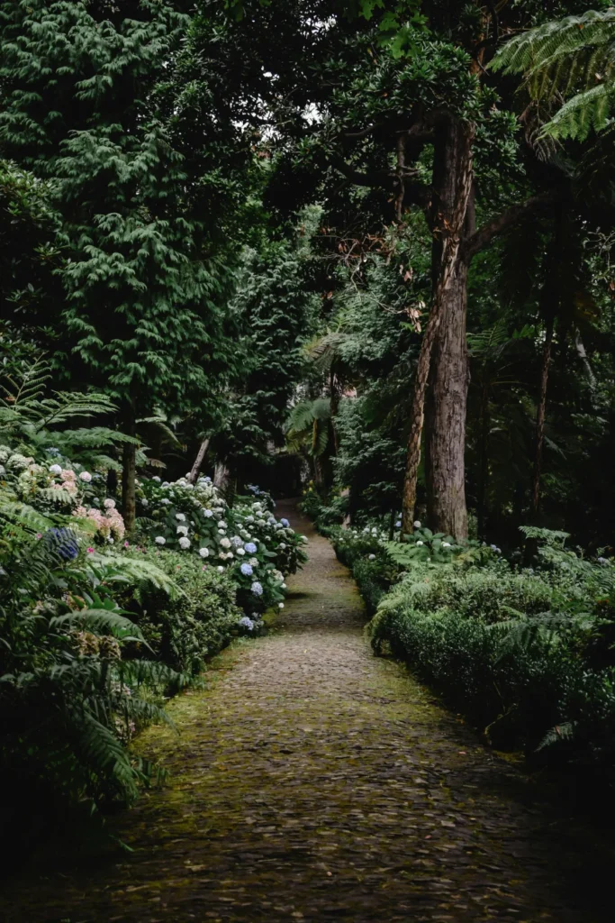 Botanical Bliss Garden